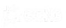 gong_owler_white 1